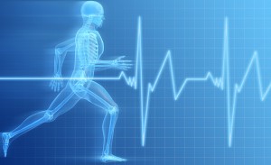 pulsómetros y entrenamiento según frecuencia cardíaca