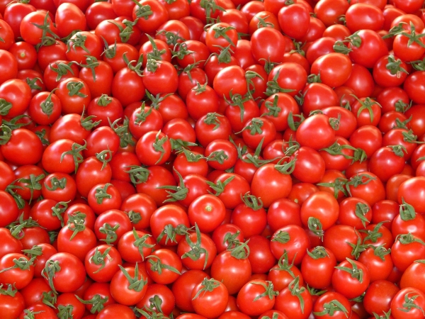 Recetas ricas en proteinas con tomate