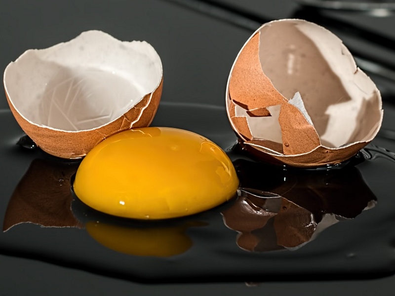 Wie viel Einweiß hat ein Ei? – 10 Fakten über Hühnereier für Sportler