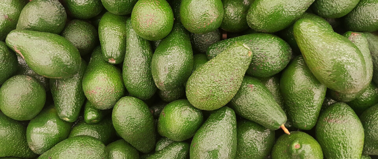 Avocados enthalten viele einfach ungesättigte Fettsäuren 