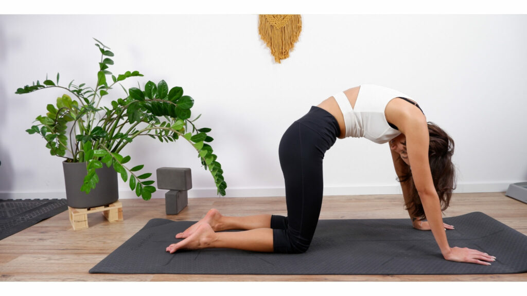 Beim Yoga darf die Cat-Cow-Bewegung nicht fehlen. Dabei wird vor allem die Rückenmuskulatur gedehnt.